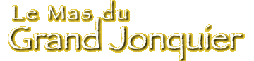 Le Mas du Grand Jonquier
